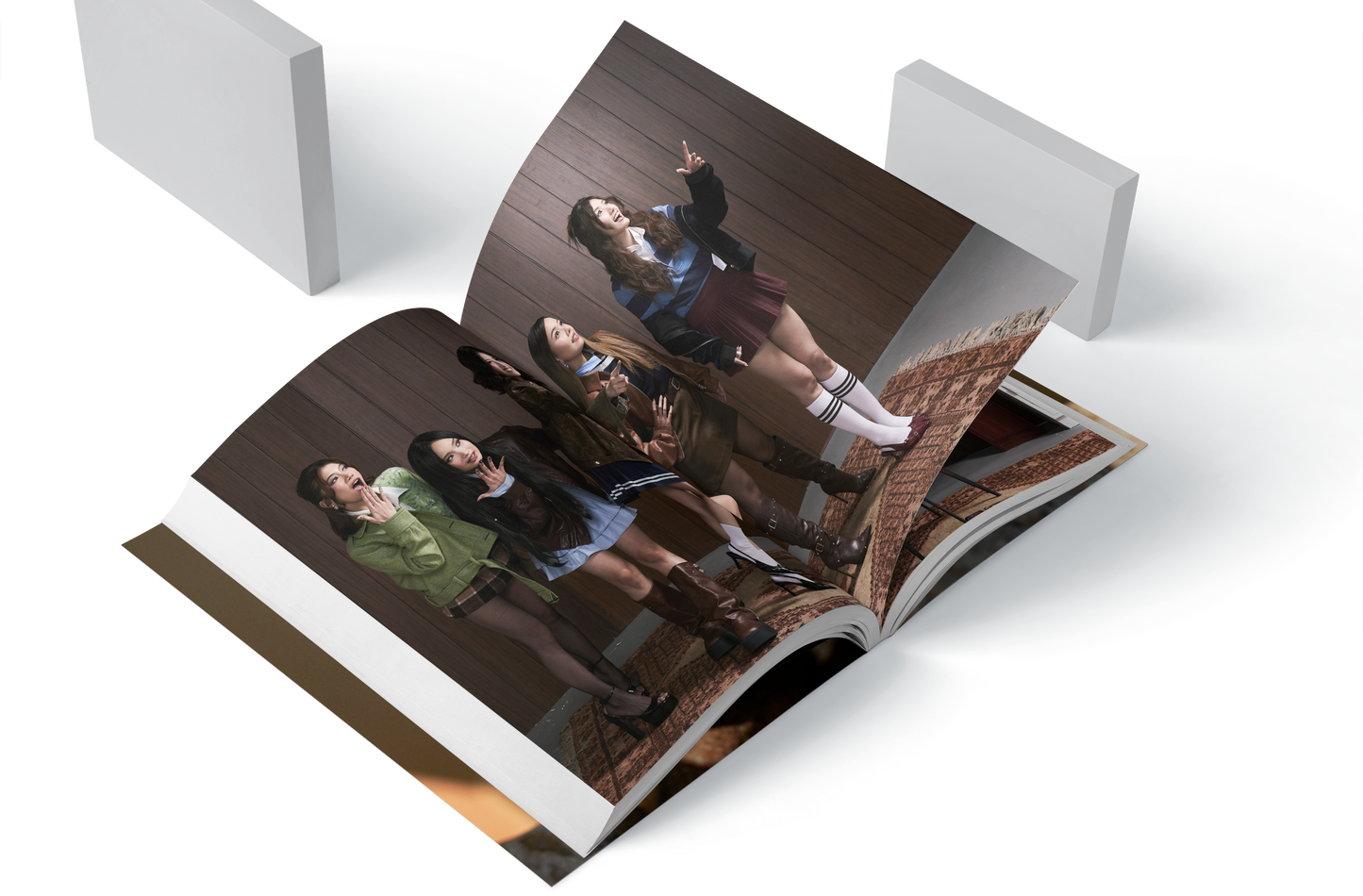 COLLECTOR'S EDITION 02 [PREORDER]